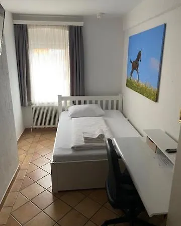 Hotel Wildschuetz Basic 3*