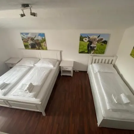 Ξενοδοχείο Wildschuetz Basic 3*