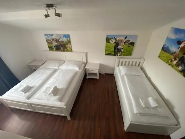 Отель Wildschuetz Basic 3*